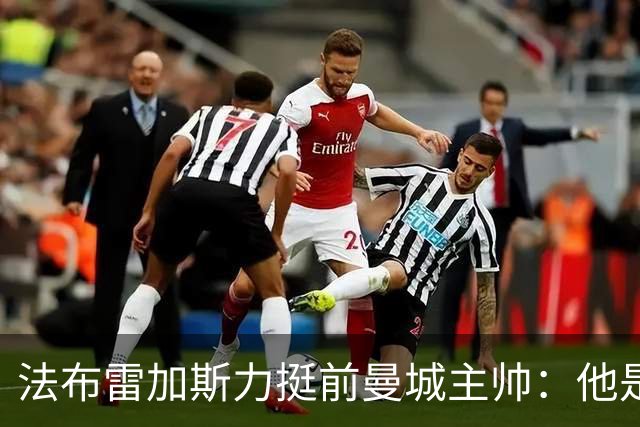 法布雷加斯力挺前曼城主帅：他是赢家，早已证明自己